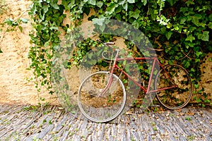 Old red bicycle