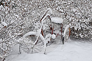 Old Red Bike in Snow