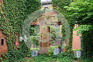 Old red brick building with climbing plants. Entrance brick gate covered with ivy