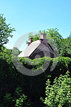 Old red brick house roof with two chimneys on top hid in green garden with high fence wall covered with wild grape