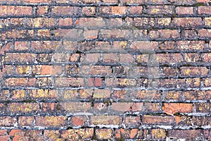 The old red brick overgrown with moss. The texture of the wall