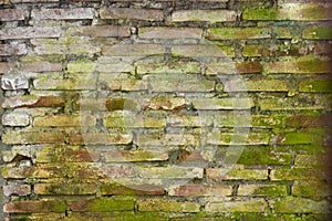The old red brick wall with green moss is a block texture background for design and decoration. can be used as background and