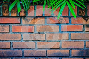 Old red brick wall with natural green leaves frame. Green palm l