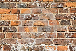 Old Red Brick Wall Texture