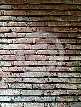 Old Red Bricks stones wall portrait