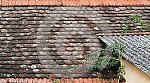 Old red bullnose roof tile texture