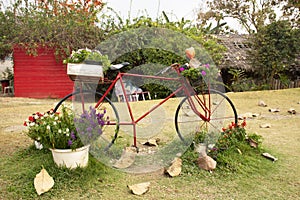 Old red classic vintage retro bicycle exterior decoration furniture of garden outdoor and flowers for travelers travel visit rest