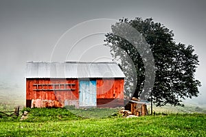 Old red cottage and tree in a foggy rural area