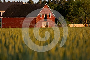 Old red country barn