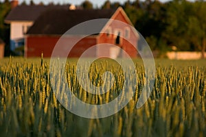 Old red country barn