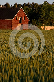 Old red country barn