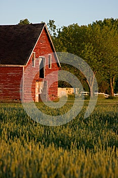 Old red country barn