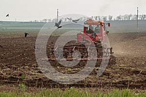 An old red crawler tractor plows a field. A flock of crows is circling near him
