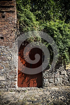 Old Red Door Surrounded by Overgrowth, Brick and Stone