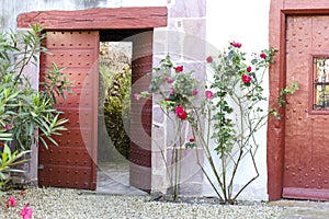 Old red doors with wrought iron details and colorful rose plant