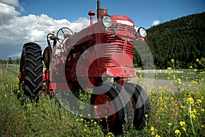 Old Red Farm Tractor