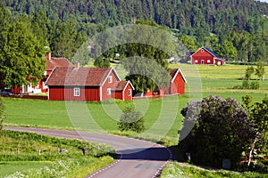 Old red farms in a green landscape