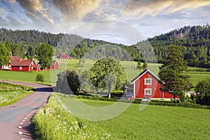 Old red farms in a green landscape photo