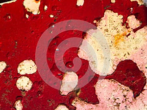 Old red fibre glass boat texture background, Close up and macro shot