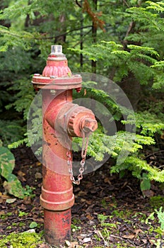 Old Red Fire Hydrant