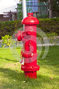 Old red fire hydrant with street background.