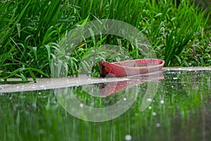 Old red fishing wooden boat in a calm lake water