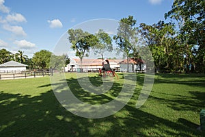 Old red horse carriage on a green meadow