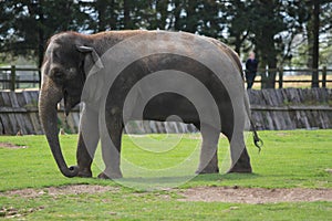 Old red pillar box on train platform