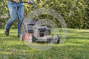 Old red push lawn mower cutting grass in blue jeans sunny shady spring day