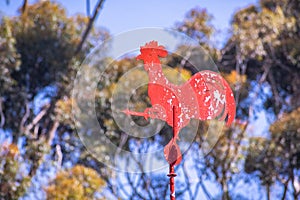 Old Red rooster weather vane