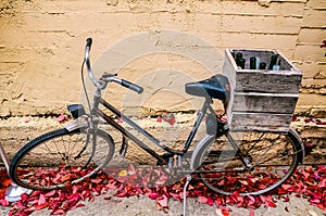 OLd red roses petals street photography wine bottles