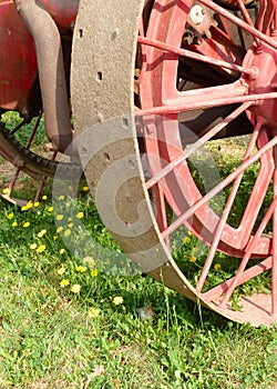 Detail of an old red tractor wheel and yellow flowers