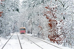 Old red tram, leaving the distance through the snow-covered forest