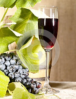 Old red wine in glass with vine and grape