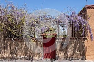 An old red wooden door on the entrance to a garden in New Mexico