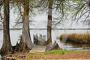 Old Reelfoot Fishing Pier