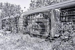 Old refrigerated railway wagon captured by vegetation.