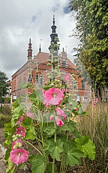 Old renaissance historic building and mallows