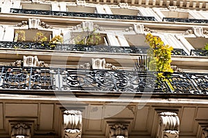 Old renovated apartments in Paris