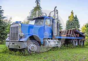 Old retro big rig blue semi truck tractor standing on the meadow with green grass and trees