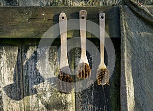 Old retro brushes hang decoratively on wooden wall