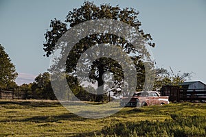 Old retro car, rusty, under a tree in the countryside. Texas