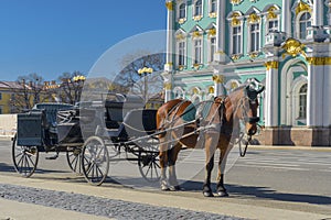 Old Retro Carriage in Front of Winter Palace Hermitage Museum on Palace Square in St. Petersburg, Russia. Historical Old- photo
