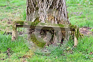 Old retro homemade makeshift broken vintage small concrete garden bench partially covered with light green moss in family house