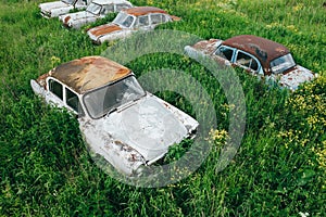 Old retro rusty abandoned cars in high green grass, cemetery of vintage autos, aerial view