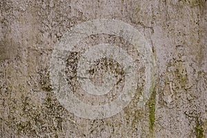 Old retro scratched yellow brown plaster wall covered with green moss texture background.