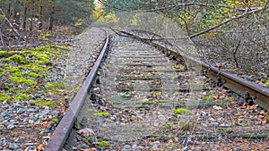 Old Rhine iron railway IJzeren Rijn with tree branches on the disused train track, autumn trees