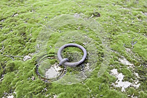 Old ring in a tomb