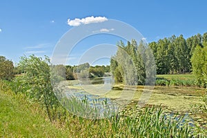 Old river Lys arm in the flemish countryside