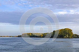 Old river Rhine with trees on island in sunset at Nierstein